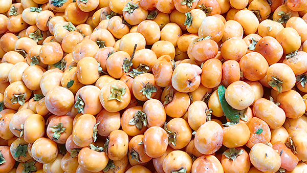 喝完酒不能吃柿子，可柿子酒不僅能喝，口感還倍兒棒！