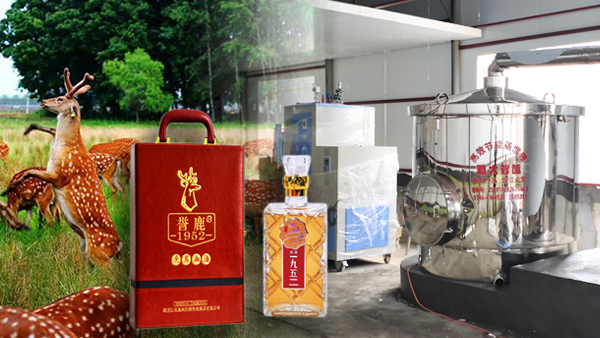 用大型釀酒設(shè)備釀鹿茸酒，走出黑龍江生態(tài)旅游發(fā)展特色之路！