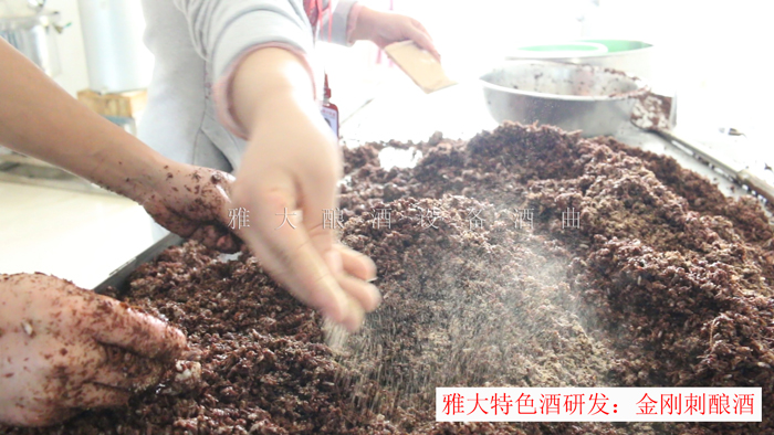 新型釀酒設(shè)備釀造的金剛刺酒賣188元一斤，唐總卻不知足…