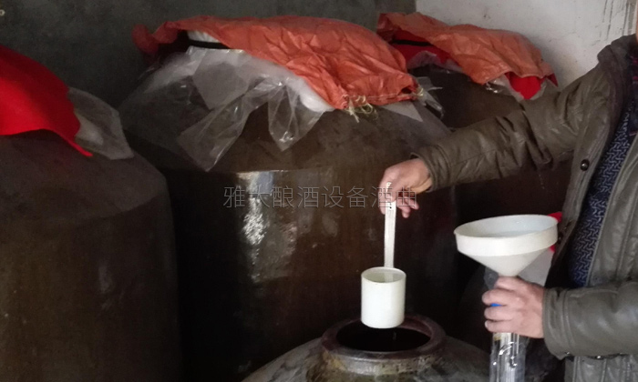 31-20年老師傅用雅大小型酒廠釀酒設(shè)備、地缸釀出“最干凈的酒”地缸0