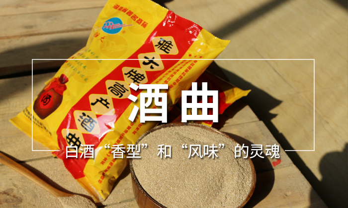 11.2酒曲是白酒“香型”和“風味”的靈魂