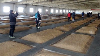 用釀酒白酒設(shè)備做酒的老酒坊想升級為大酒廠，只需做好這4點！