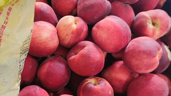 山東冬桃滯銷，能否用釀酒新設備釀成酒避免損失？