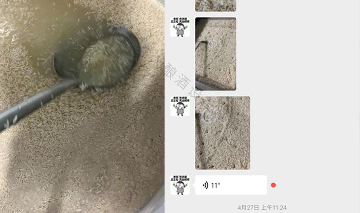 受疫情影響不讓養(yǎng)蛇，用電加熱釀酒設(shè)備做酒迎來新未來！ 3