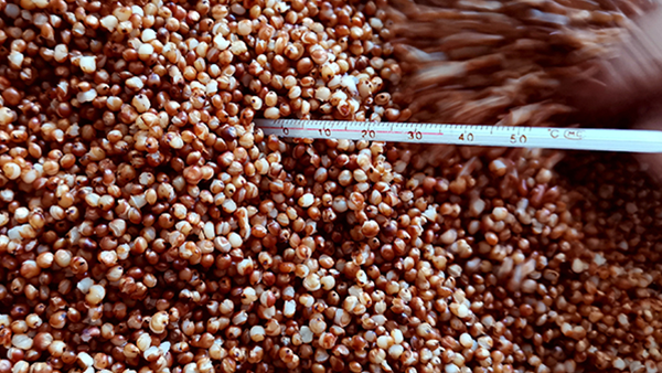 用烤酒設(shè)備做酒，溫度對白酒口感和出酒率影響大嗎？