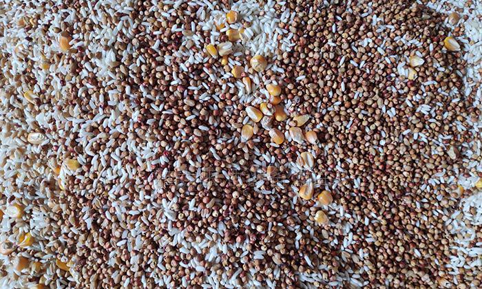 選擇糧食要新鮮、飽滿