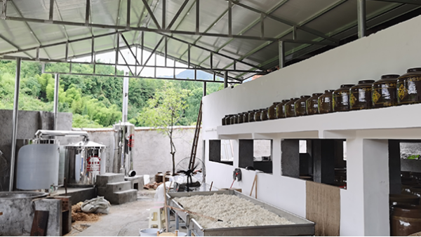 受疫情影響工作不好找，在家開(kāi)個(gè)酒廠利潤(rùn)大嗎？