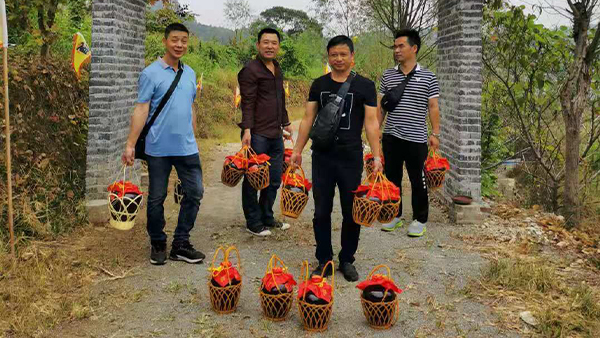 引進小型酒廠釀酒設備升級老酒坊，武功山黑糯米酒坊變身“釀酒農(nóng)莊”