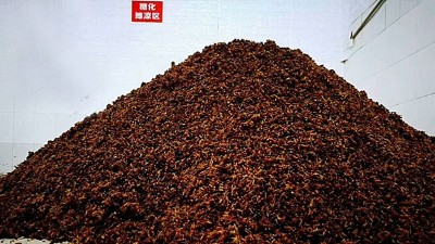 用做酒設(shè)備釀純糧酒的人說(shuō)做真酒就是在行善，你認(rèn)同嗎？