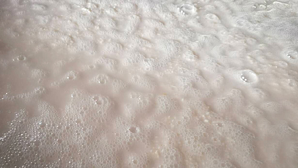 驚！用白酒蒸餾設(shè)備釀酒，加水發(fā)酵的作用竟然這么大！