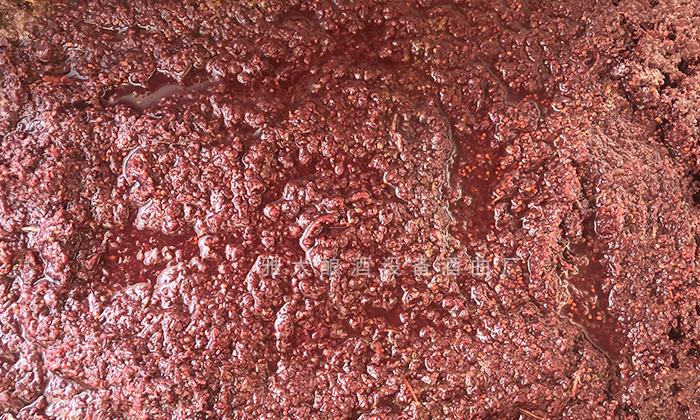 發(fā)酵好的桑葚