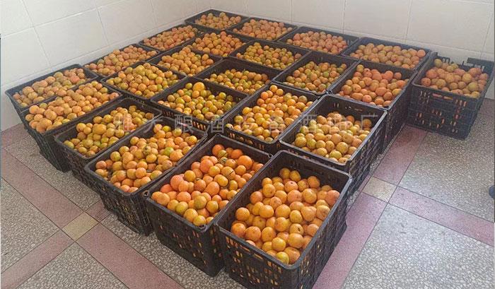 除當?shù)厝撕鹊母叨染仆?，他還多元化經(jīng)營水果酒