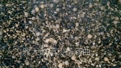 用小型酒廠釀酒設(shè)備做黑大麥酒，開(kāi)家個(gè)性化的釀酒作坊！