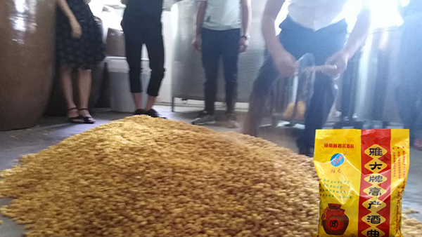 40年老師傅用糧食釀酒設(shè)備做酒有訣竅，蒸餾蒸糧一步到位！