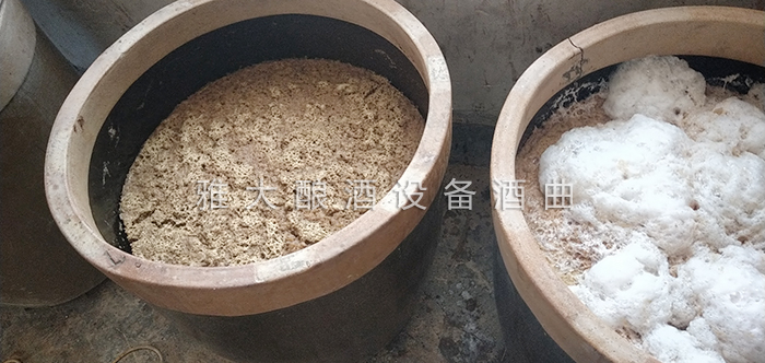 9.16無花果釀酒技術-發(fā)酵