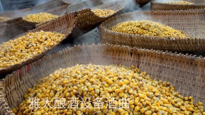 看過來，用玉米釀酒設(shè)備制作整料玉米酒的標準教程在這里！