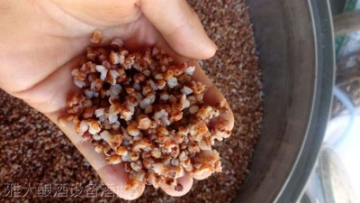 用高粱釀酒設(shè)備做高粱酒時(shí)不加糠殼，可以釀出酒來嗎？