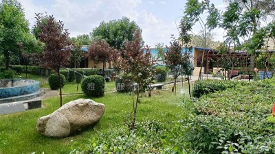 女孩屢次創(chuàng)業(yè)失敗后，用釀白酒設備開酒坊，分店開了一家又一家