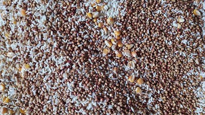 五糧混蒸混燒方法，用哪些雅大釀酒設(shè)備好？