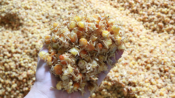 用烤酒設(shè)備做固態(tài)酒，到底要不要配糟？