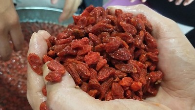 學(xué)會枸杞酒的三種常見釀酒技術(shù)，您就是釀酒高手！