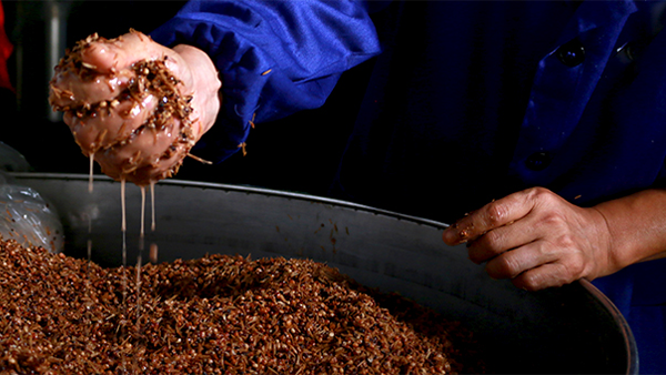 處暑過后，最佳釀酒季即將到來，您的白酒蒸餾設(shè)備準(zhǔn)備好了嗎