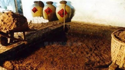 用高粱釀酒設(shè)備做濃香型白酒，酒好全憑窖池老！