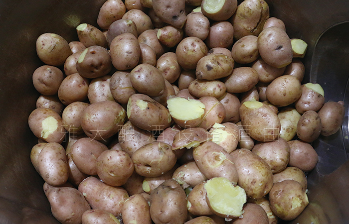 土豆蒸熟，打開料桶蓋