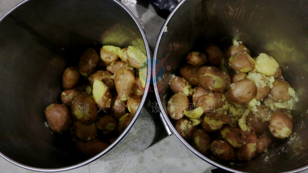 3000噸土豆無人問津，那就試試用釀白酒設備將它們釀成酒吧！