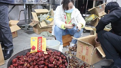 “五一”假期出游新風(fēng)向，自駕車來大型釀酒設(shè)備廠家實(shí)操釀紅棗酒