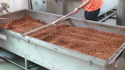 蒸糧時間長，蒸好后總是夾生，試試雅大多功能蒸煮攤涼釀酒設(shè)備