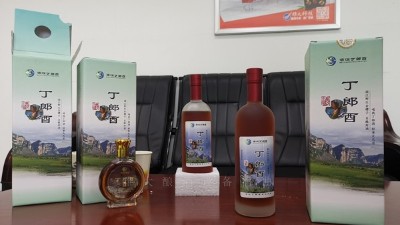 農(nóng)村到處可見的野果，用小型白酒設(shè)備釀成酒被稱為男人的加油站！