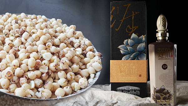 【蒸汽釀酒設(shè)備】蓮花開，蓮子熟，釀一壺清香的蓮子酒！