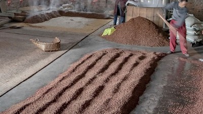 咱家不差錢，你又一把年紀(jì)了，何必堅(jiān)持用中型釀酒設(shè)備做酒？