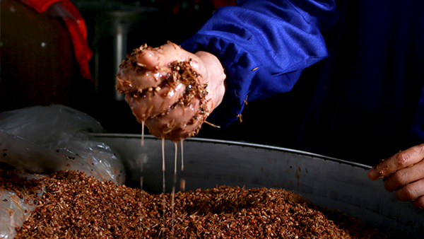 【小型酒廠釀酒設(shè)備】固態(tài)法白酒最新定義，趕緊來看看吧！