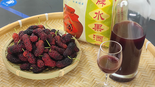 雅大釀酒設(shè)備廠邀您來酒廠學(xué)桑葚酒技術(shù)，品桑葚美酒！