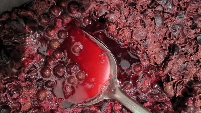 10步教您用小型白酒設(shè)備做出美味樹葡萄酒！樹葡萄酒標(biāo)準教程！