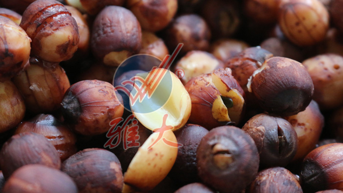 4.1、蒸好的鏈子細節(jié)圖