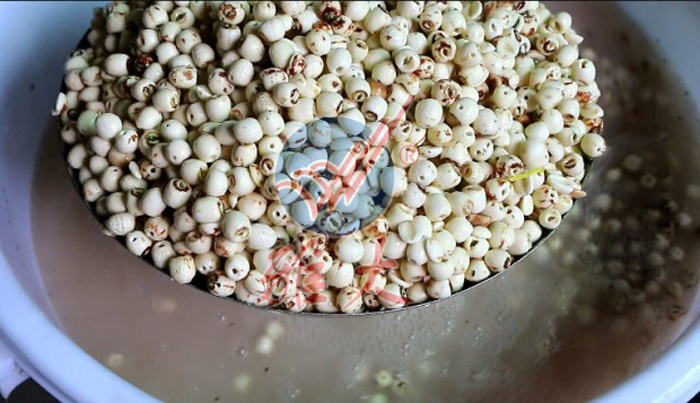 1、蓮子浸泡不帶皮