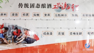 新型釀酒設(shè)備釀酒，當傳統(tǒng)遇上新工藝？你的選擇是什么？