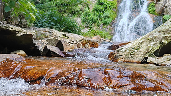 “好水釀好酒”，水在白酒釀造中到底起什么作用？