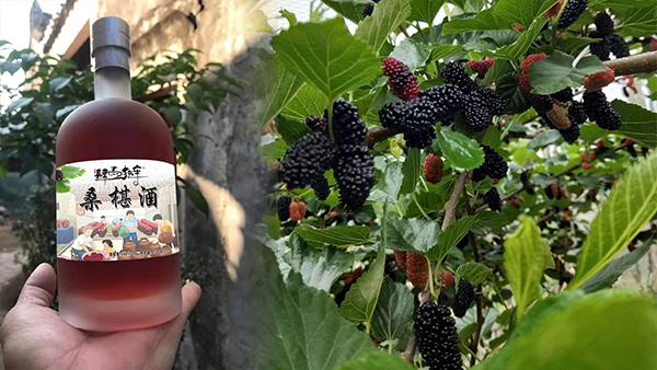 雅大果酒釀酒設(shè)備和釀酒技術(shù)，幫助果農(nóng)走出“滯銷(xiāo)”困局