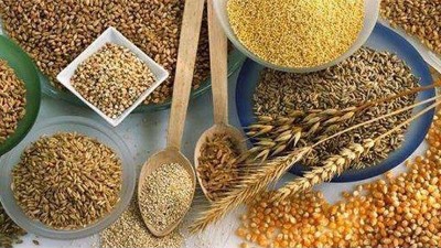 用小型白酒設備純糧酒藏著如此多的秘密，純糧原料至關(guān)重要