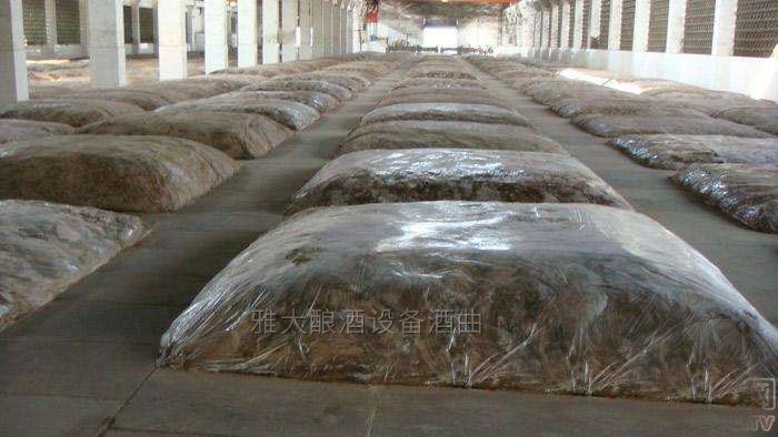 窖泥里的各種微生物菌群活躍起來(lái)