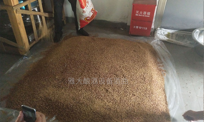 10.4-高粱釀酒實(shí)操攤涼、下曲、做箱