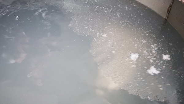 白酒在低溫下變渾濁，出現(xiàn)白色絮狀物正常嗎?