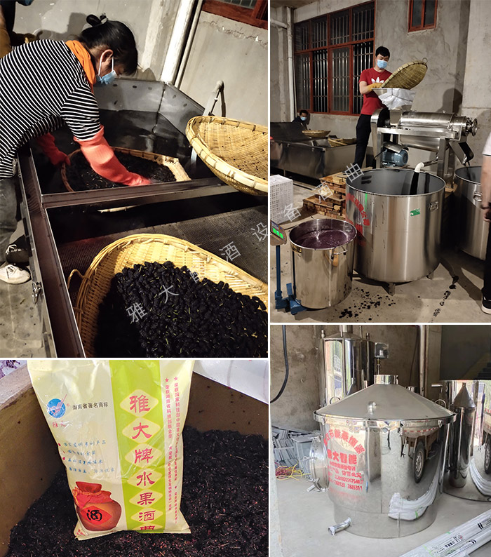 雅大技術總監(jiān)蔣建明老師現場指導釀酒桑葚酒
