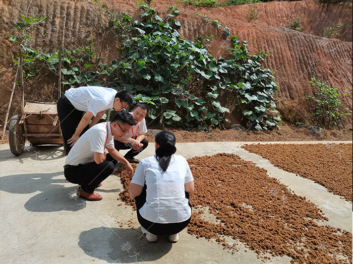 8.11雅大專業(yè)團隊上門技術(shù)指導