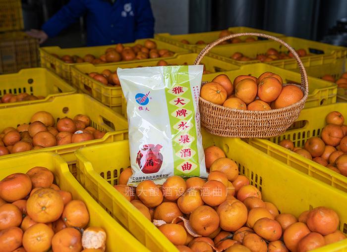 雅大果酒釀酒設(shè)備廠(chǎng)家釀橘子酒