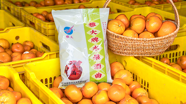 桔子滯銷怎么辦，試試用果酒釀酒設(shè)備將它們釀成酒吧！